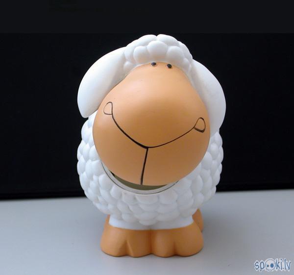 Autors: anaconda Intervējuuu ar Sheep!