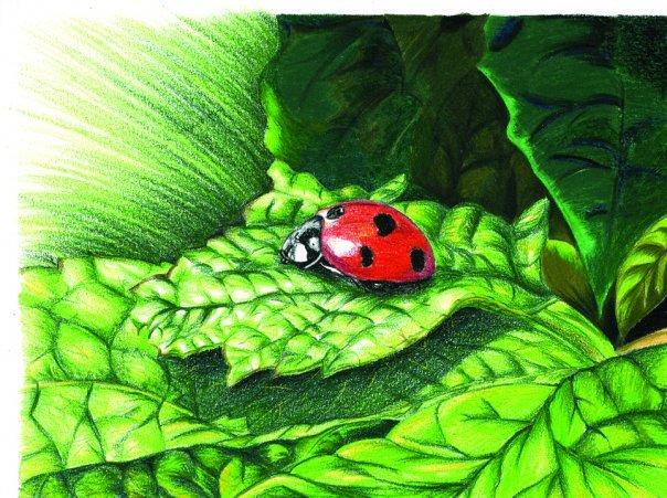 BizbizmārĪte jeb Ladybird ir... Autors: LeeMairo Par simboliem 1 daļa.