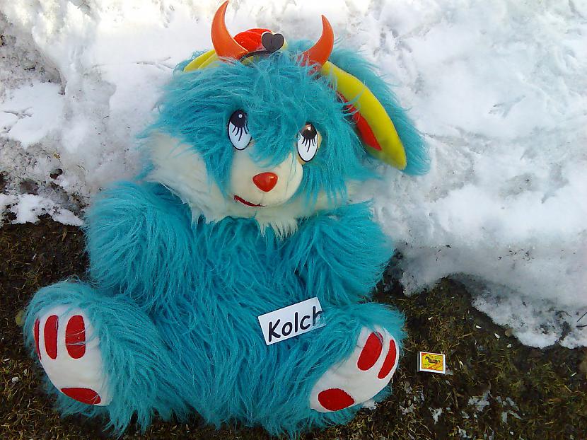 Autors: Kolch Kaut kas.