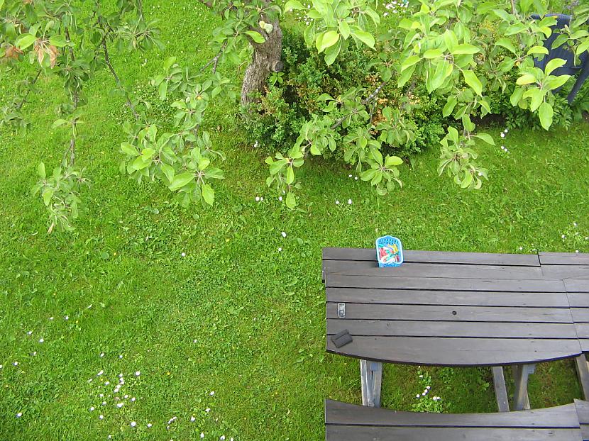 Autors: varenskrauklis Dārzā atradu to, ko pat nebūtu iedomājies, ka var atrast