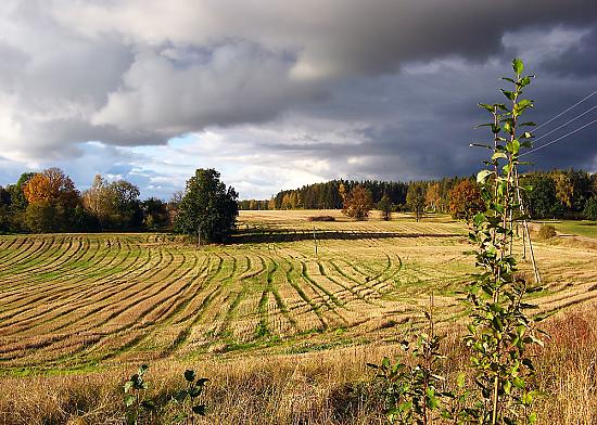 Kāpēc lauki NAV bedre