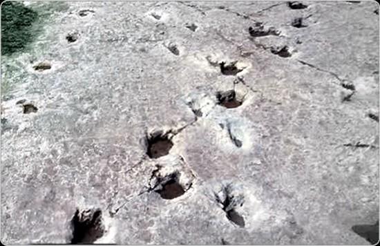 Cilvēki un dinozauriCilvēku... Autors: Moonwalker Neizskaidrojami fenomeni