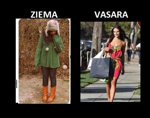 Autors: The Diāna Ziema vs vasara