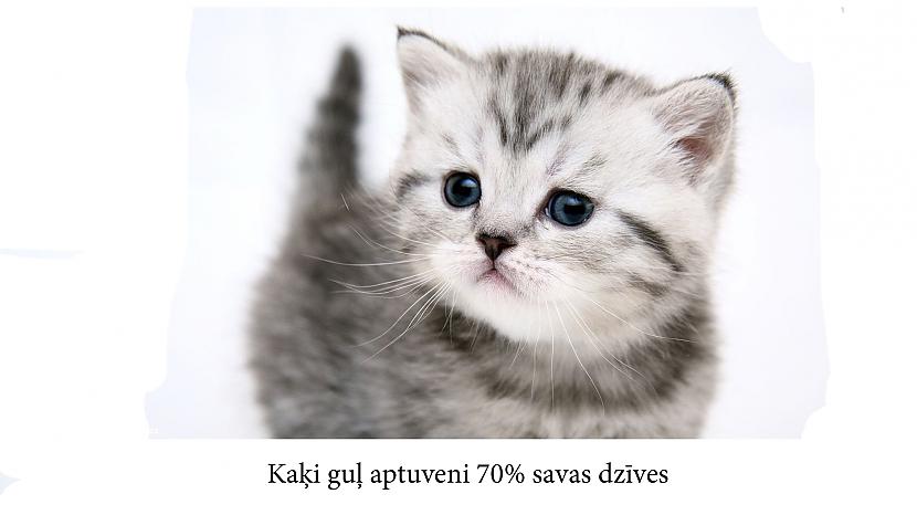 Autors: Mūsdienu domātājs Fakti, kas iedzīs tevi šokā...