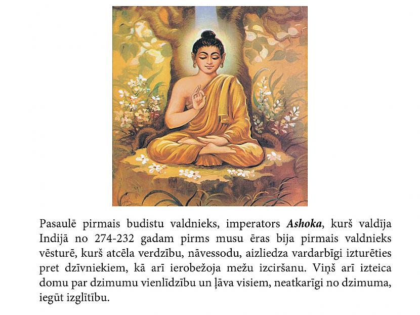 Autors: Mūsdienu domātājs Fakti, kas iedzīs tevi šokā...