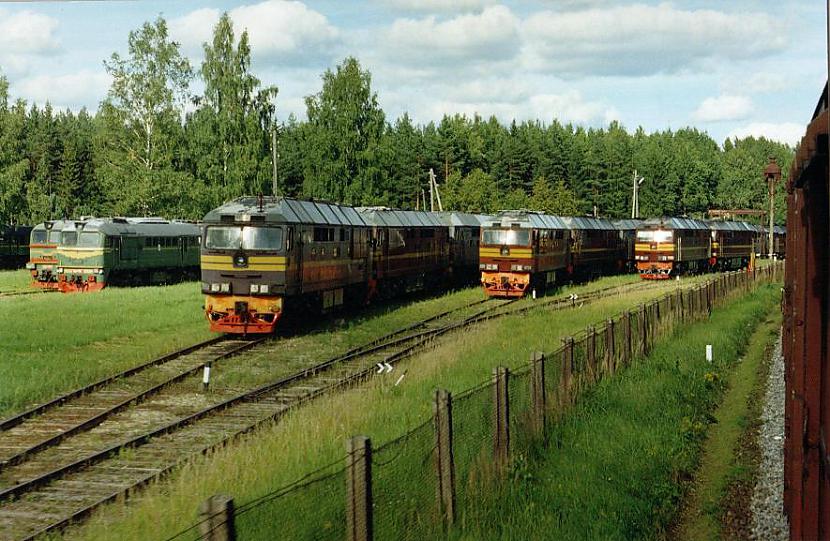Ieriķu rezervju parks Autors: nikloss Dzelzceļš Abrene - Ieriķi