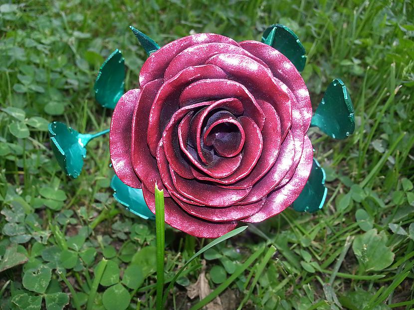 Autors: kpot Roze no metāla. Never ending rose. Metal rose hand made