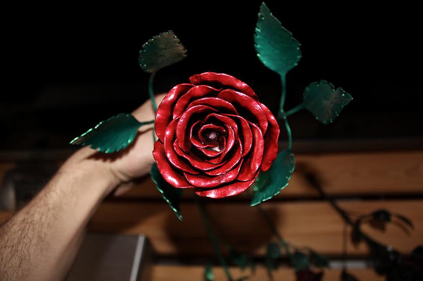 Autors: kpot Roze no metāla. Never ending rose. Metal rose hand made