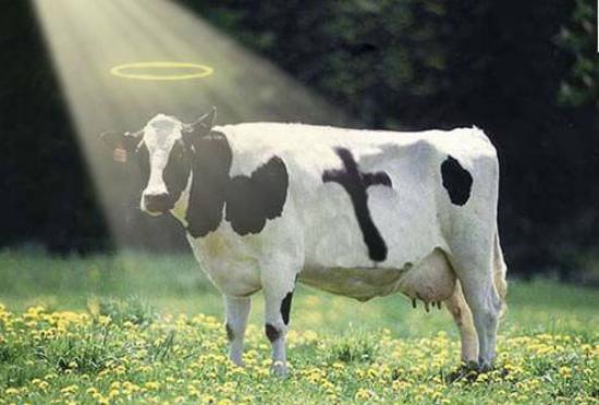 Taizeme1991 gada aprlisPēc... Autors: Raziels Darvina prēmijas kandidāti - 2013.