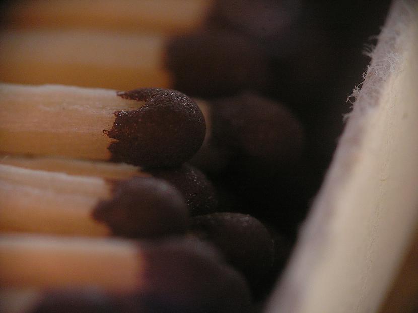 Serkociņi Autors: Werkis2 Mani šķūningi.