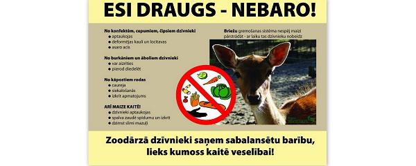 Februārī tiek veiktas... Autors: GargantijA Pirms simt gadiem Latvijā…