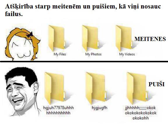  Autors: 3FckingUnicorns Meitenes vs Puiši