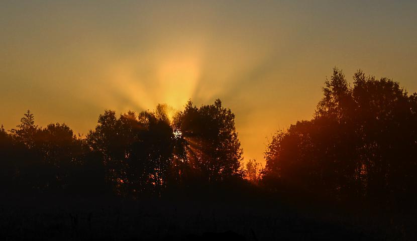 Autors: Līīshe atmiņās par rudens rītu..:)