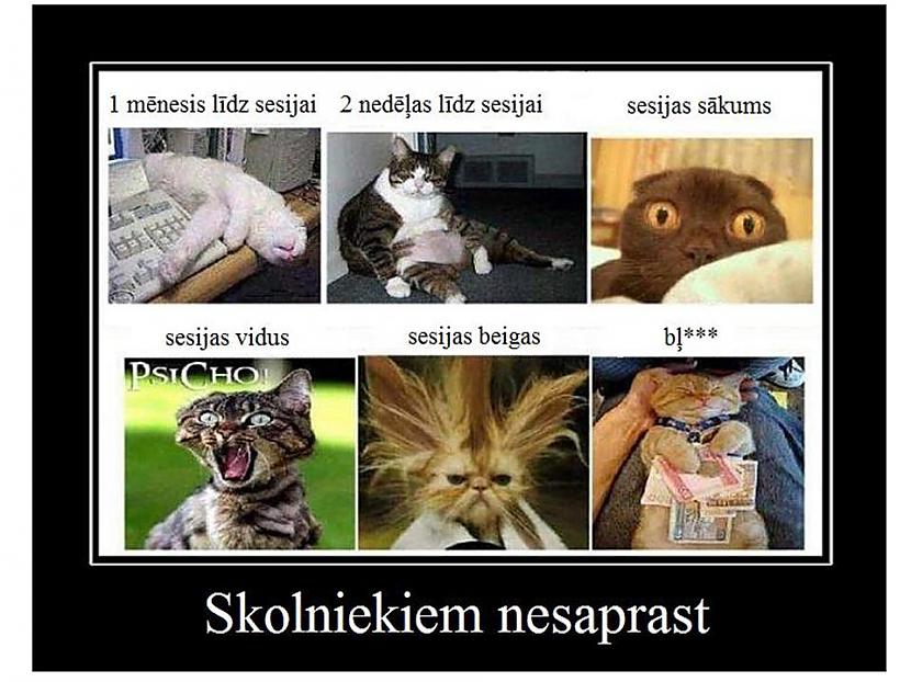 Nu tad sākās pirmās dienas... Autors: Vampire Lord Kā sveikā tikt cauri sesijai? (LLU)