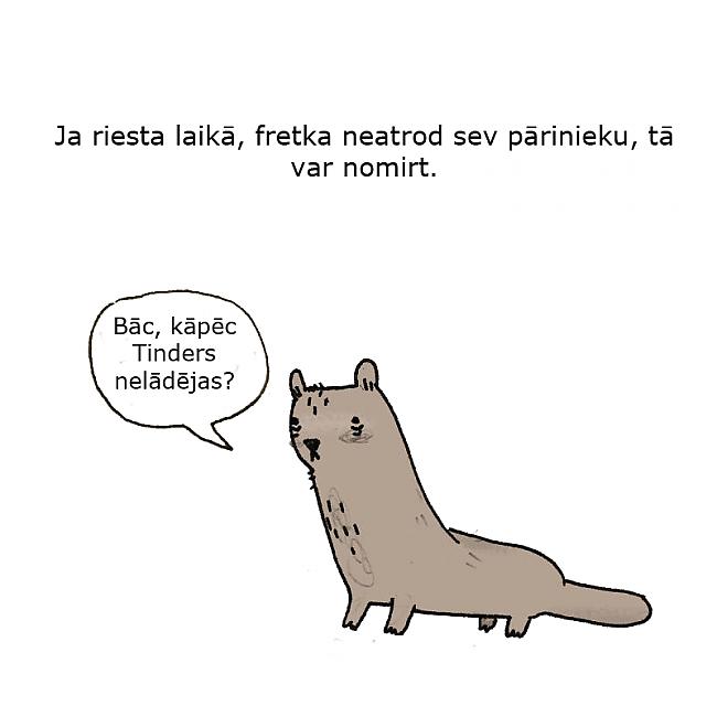 Autors: matilde 40 bēdīgi fakti par dzīvniekiem.