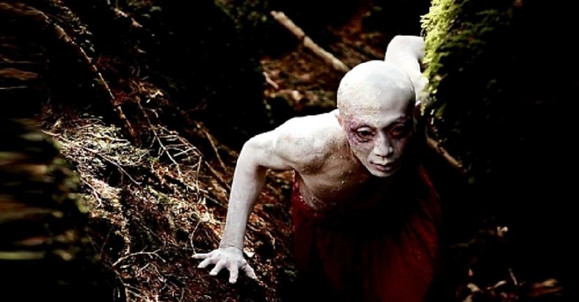 Mežā var atrast dažādas... Autors: Lestets Aokigahara mežs