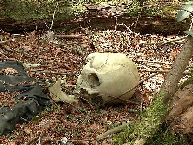 Kādēļ scaronī vieta ir tik... Autors: Lestets Aokigahara mežs