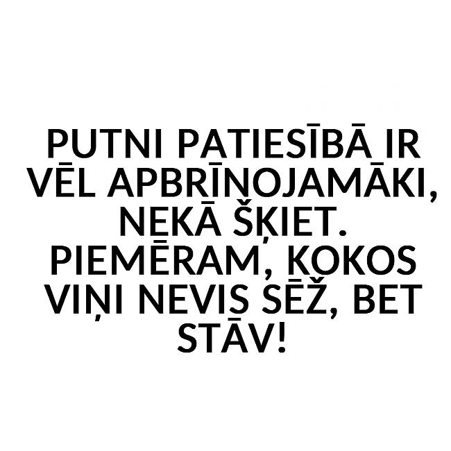 Autors: matilde 20 ideāli joki, kas ir jāzina no galvas katram!