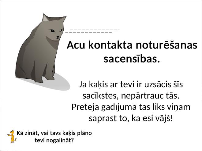 Autors: matilde Kā zināt to, vai tavs kaķis plāno tevi nogalināt?