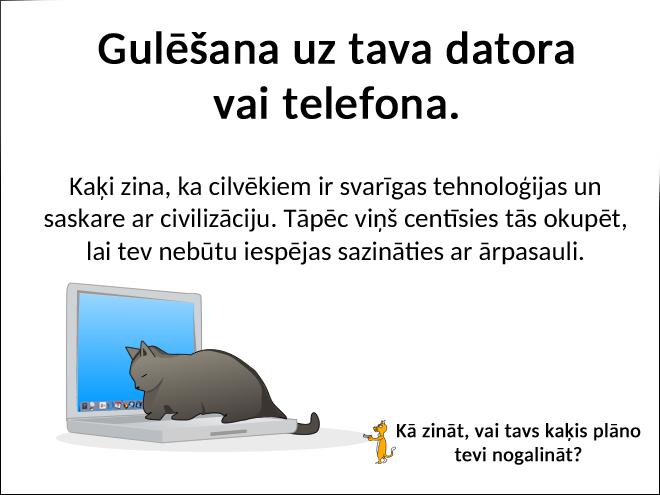 Autors: matilde Kā zināt to, vai tavs kaķis plāno tevi nogalināt?