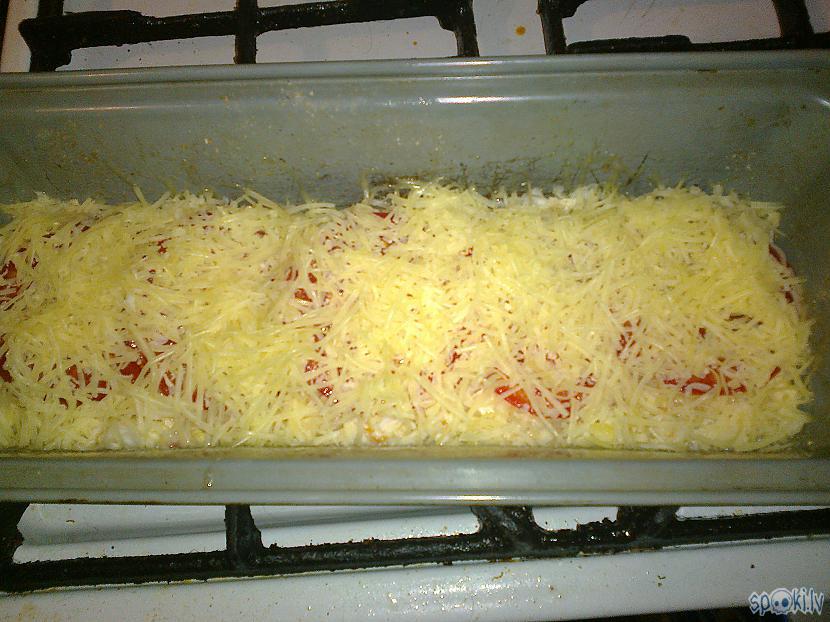 Formeens gatavs startam Autors: ezkins Vakardienas pupiņdancis ar šodienas kāpostiņdziesmu :)