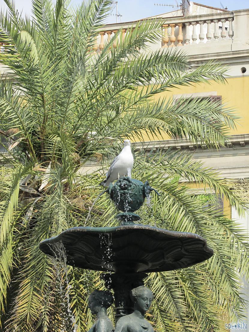 Autors: pyrathe Ceļojumi: Barselona (1.daļa)