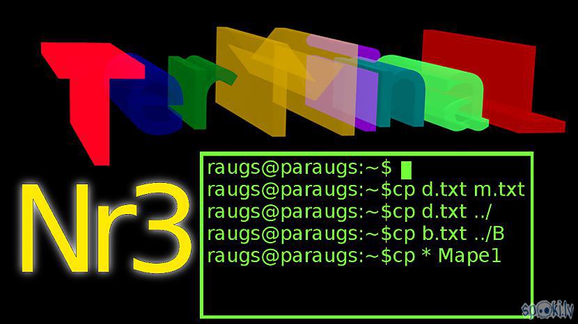 Autors: Strāvonis Darbs ar terminālu Nr. 3