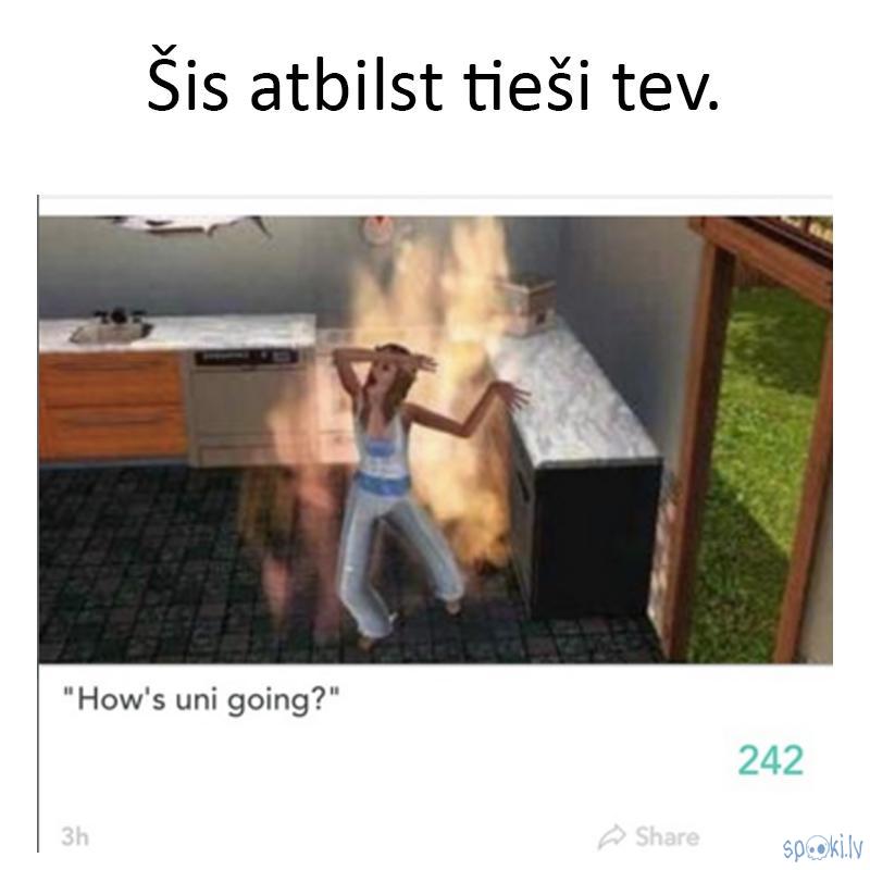 Autors: matilde 18 patiesības par universitāti, kas liks tev smieties un tad RAUDĀT