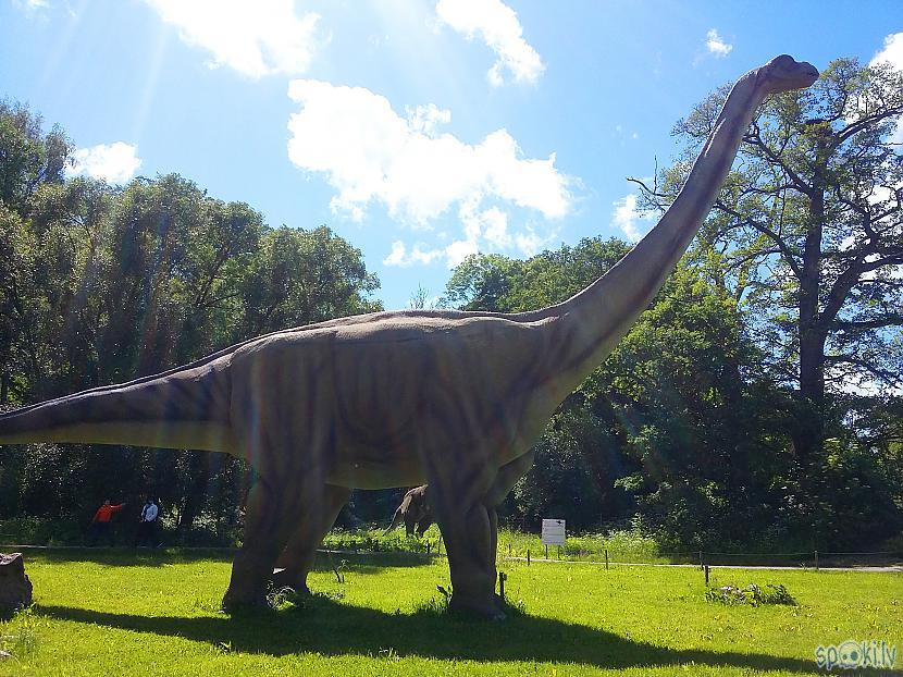nbspyeynbsp Autors: Huskijs3 Lietuva - Dino parkas!