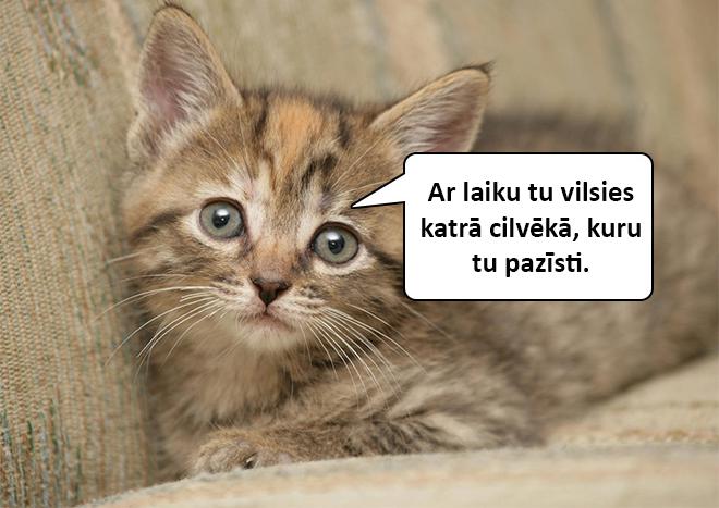 Autors: matilde Dzīvnieku mazuļi atklās tev skarbo dzīves patiesību