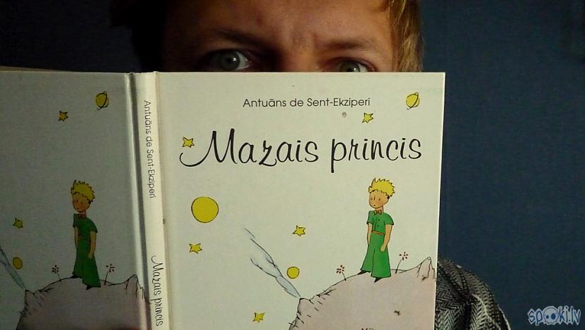Autors: fakingsons Mazais princis