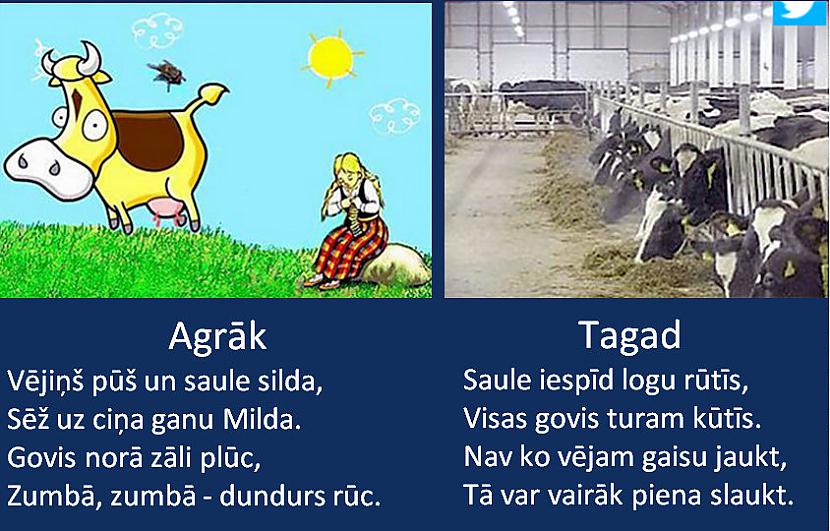 Autors: rasiks Omes joki