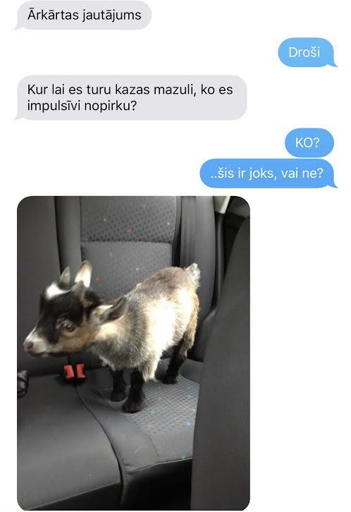 Autors: KALENS SMS pērles 5: Tu esi stāvoklī vai neesi?!