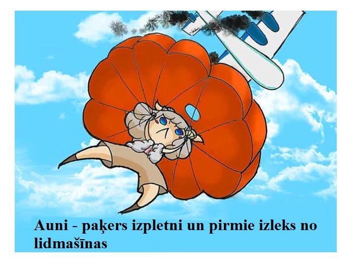 Auni laikam būs vienīgie kas... Autors: Lestets Kā zodiaka zīmes uzvestos lidmašīnas katastrofas laikā