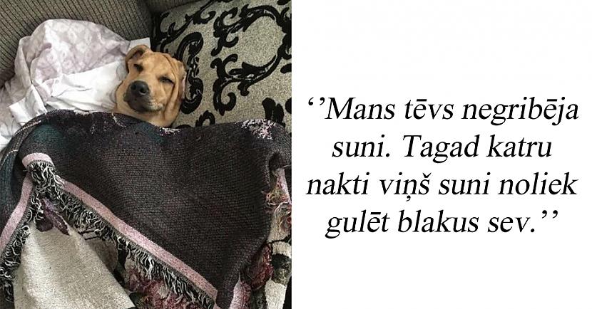 Autors: matilde 19 cilvēki, kuri ātri mainīja savas domas par mājdzīvniekiem