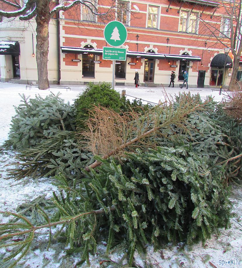 Laba ideja vieta kur atstāt... Autors: pyrathe Brauciens uz Stokholmu