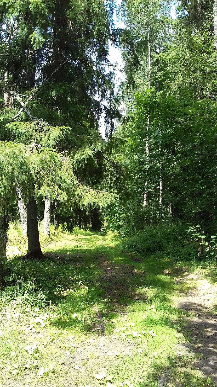 Autors: Griffith Pagājušā gada vasara, 19. jūlijs.