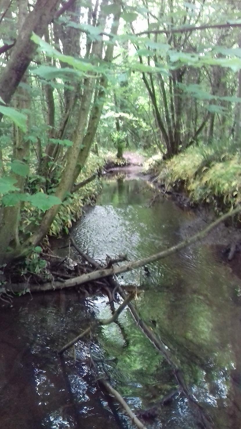 Bridu pa upi un no mālainā... Autors: Griffith Pēdējā maija diena, 31.5.18