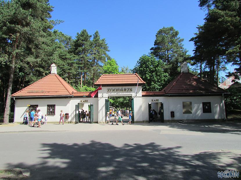 Autors: pyrathe Rīgas ZOO (svētdienas pastaiga)