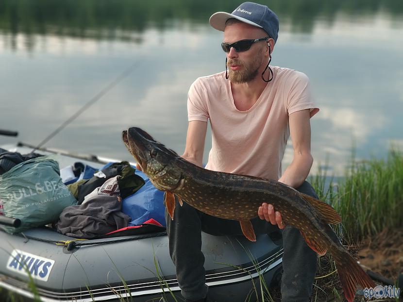 Autors: Artfilm Dabas Bērns - Ekspedīcija ''DAUGAVA'' Jauns REKORDS - Līdaka