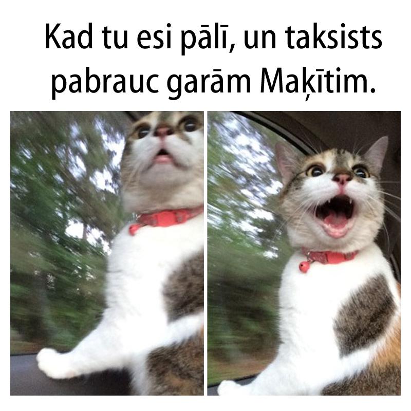 Autors: matilde 15 patiesi joki, kurus sapratīs tie, kas ikdienā brauc ar taksi