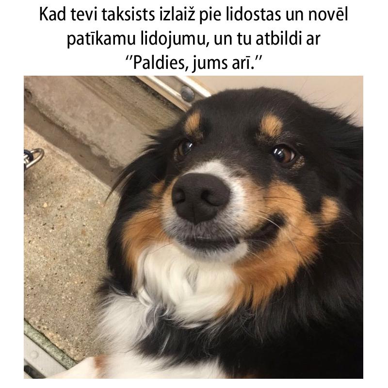 Autors: matilde 15 patiesi joki, kurus sapratīs tie, kas ikdienā brauc ar taksi