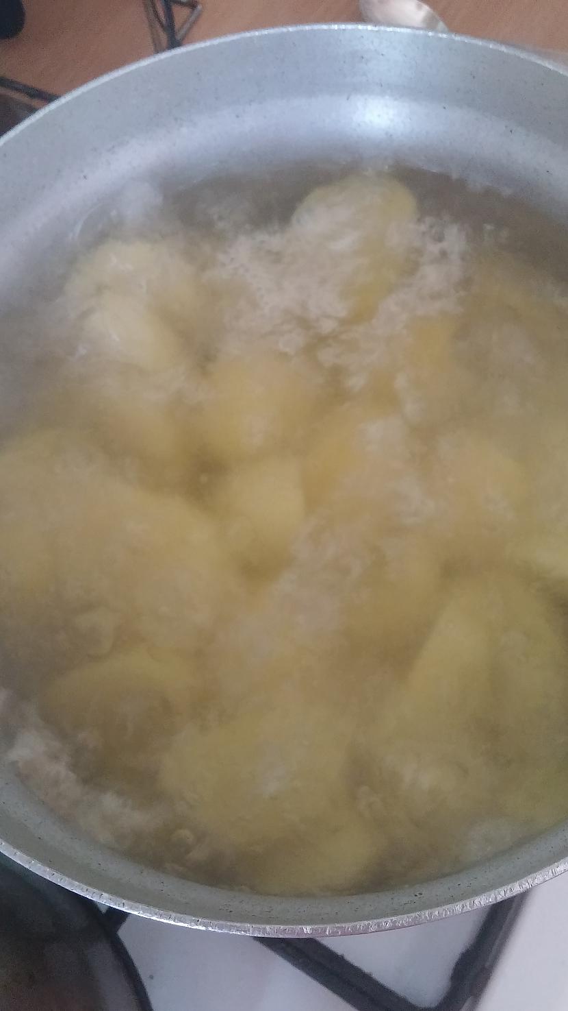 Jaunie kartupeli Kaut gan... Autors: Piparmētra11 Galvenajā lomā - marinētas cūku ribiņas