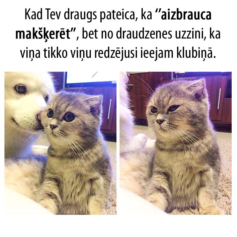 Autors: matilde 10 situācijas, kas ir pazīstamas 9 no 10 meitenēm