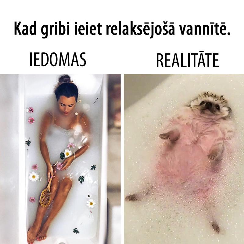 Autors: matilde 10 situācijas, kas ir pazīstamas 9 no 10 meitenēm