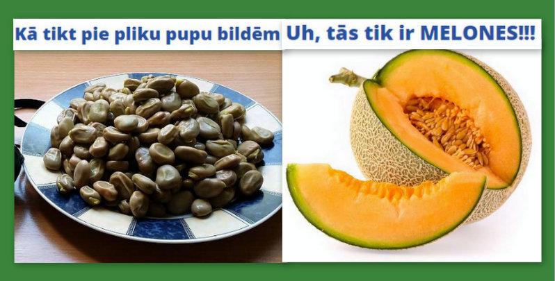 No cūku pupu plikumiem līdz... Autors: rasiks Vairāk nerakstīšu par MEGAkonkursu