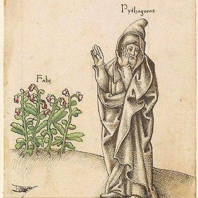 Viņi bija veģetāriescaroni... Autors: Artemiis Vai zināji, ka Pitagors bija neprātīga kulta līderis?