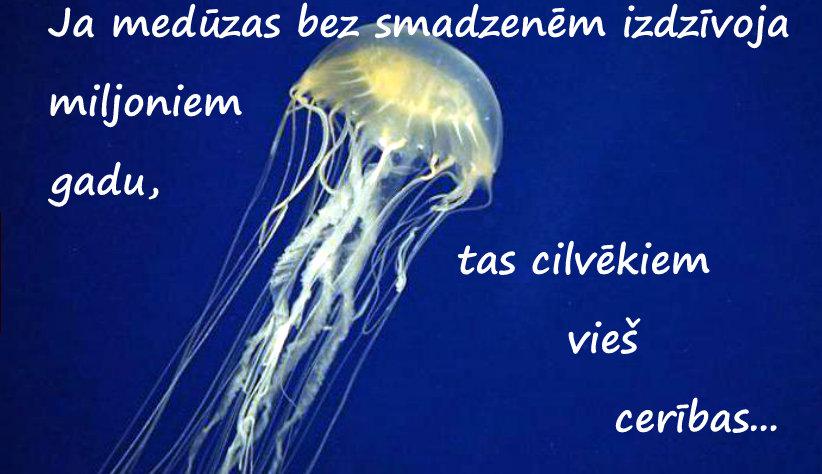 Autors: rasiks Kad gribas smaidīt, bet nav par ko (2.)