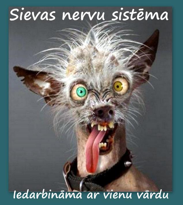 Autors: rasiks Kad gribas smaidīt, bet nav par ko (4.)