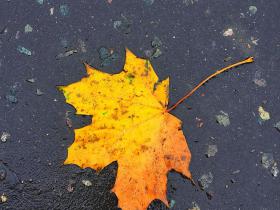 Rudens.